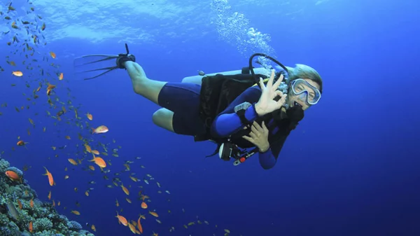 Το top 10 των καταδύσεων