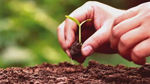 8 συμβουλές περιποίησης του κήπου μας με αφορμή την ανοιχτή γιορτή πρασίνου στην Ακαδημία Πλάτωνος 