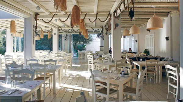 Αθερίνα: Ψαροφαγικό  καλοκαιρινό  καταφύγιο