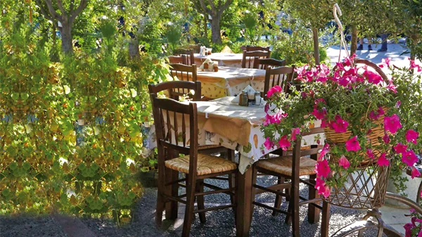 Δάφνη: Η επίμονη (καλή)  μαγείρισσα