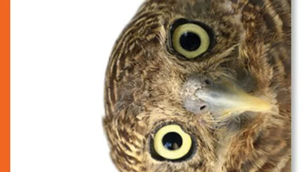 Η οικογένειά μου και άλλα ζώα: απολαυστικό ταξίδι στην Κέρκυρα του μεσοπολέμου 