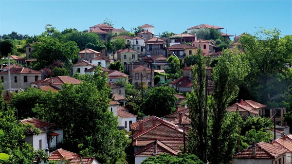 Λαύκος: ανακαλύψτε το «κρυμμένο μυστικό» του Πηλίου 