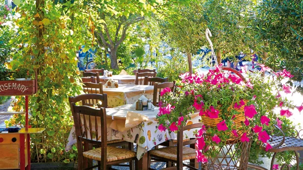 «Δάφνη»: Ζωντανές γεύσεις που μυρίζουν Ελλάδα