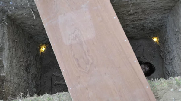 documenta14: μαθαίνοντας σε χρόνο αόριστο  