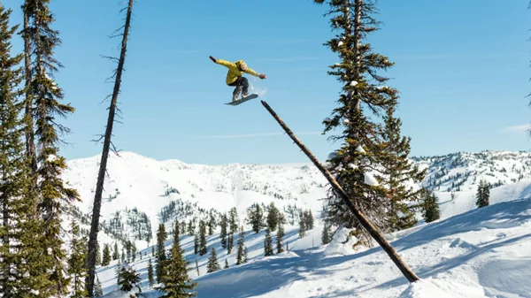 3rd Adventure Film Festival στο Κολέγιο