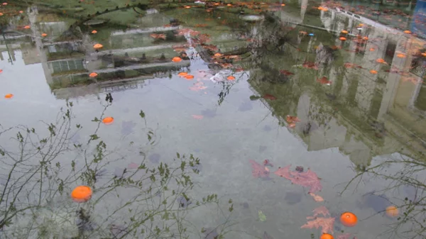 Τέχνη σε Καρτ Ποστάλ