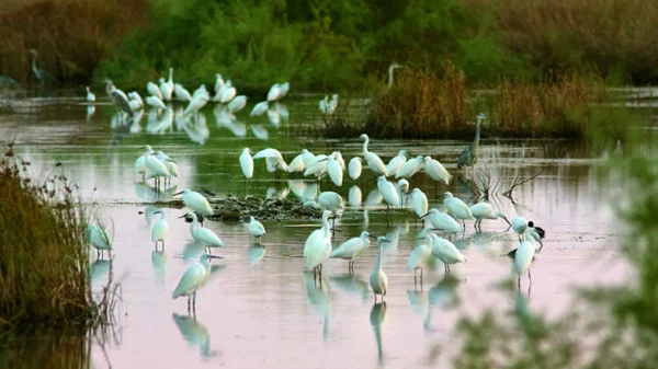 Το «πράσινο» μέλλον των ξενοδοχείων
