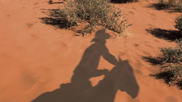 Ο Γιος: ένα επικό βιβλίο για τις ρίζες της Αμερικής 