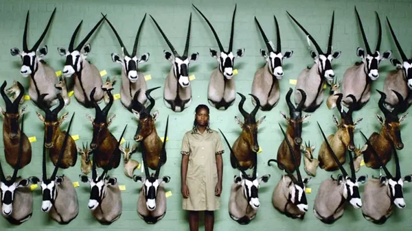 Το 19ο Φεστιβάλ Ντοκιμαντέρ Θεσσαλονίκης θα λύσει όλες σας τις απορίες