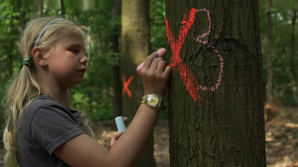 Social media ή επιστροφή στη φύση; Οι προβολές του KinderDocs δίνουν την απάντηση!