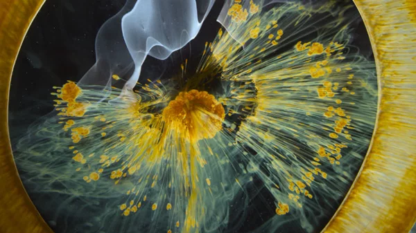 Ταξιδέψτε στο διάστημα με το «Flix It» στη Στέγη Γραμμάτων και Τεχνών