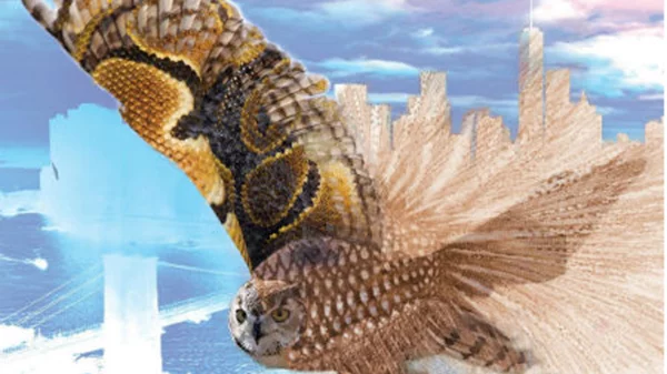 Nana Simopoulos: Skins 