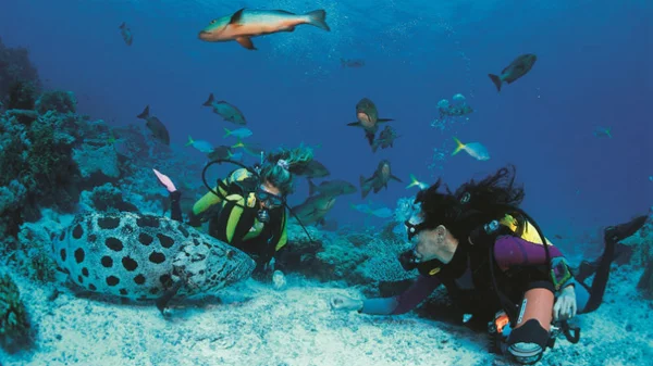 Βουτιά σε... βαθιά νερά στο Πλανητάριο