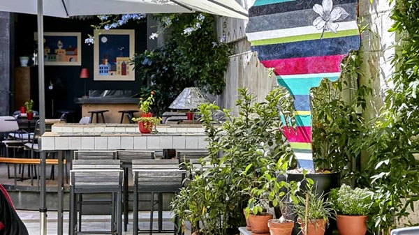 Μια μαύρη πάπια με πράσινο κήπο