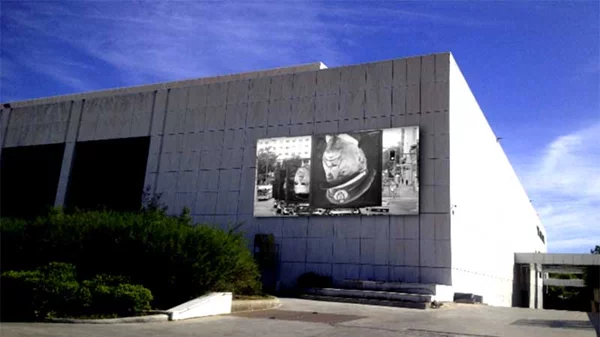 «Ο Κήπος βλέπει»: 37 έργα τέχνης μας προσκαλούν σε μια εικαστική βόλτα στον Κήπο του Μεγάρου 