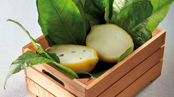 Αιρετικά αλμυρά παγωτά στα εστιατόρια που θα σας κάνουν να ξεχάσετε τις προκαταλήψεις 