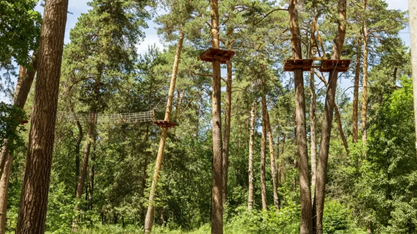 Το The Park Challenge κάνει το πάρκο Χωροφυλακής ένα στίβο περιπέτειας για μικρούς και μεγάλους 