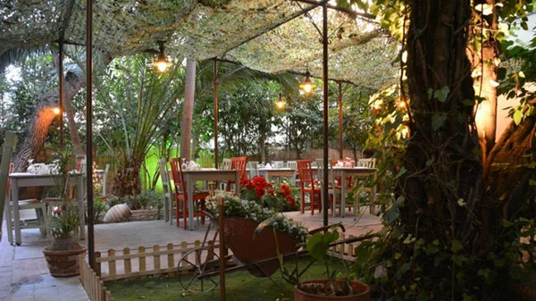 Μια αυλή σπαρμένη με λουλούδια και… μεζέδες