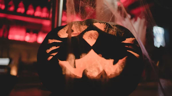 Free City: οι δωρεάν δράσεις της εβδομάδας