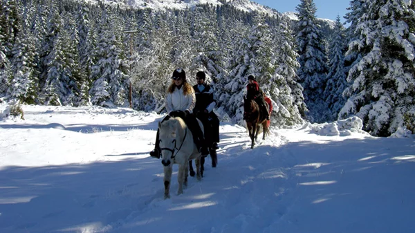 Ελάτη, Περτούλι και Λίμνη Πλαστήρα κάνουν comeback στην καρδιά του χειμώνα