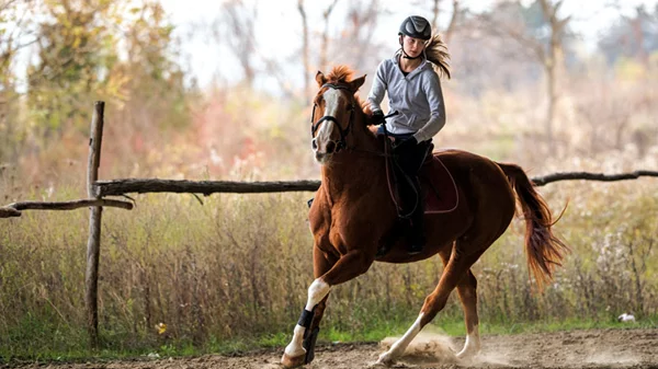 Ολα είναι εμπειρία!