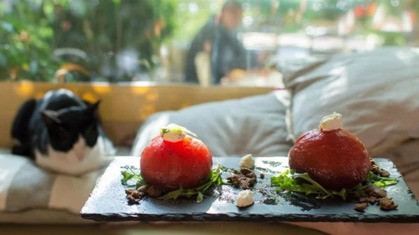 Στο «Αποστακτήριον» με το αθηνόραμα Club