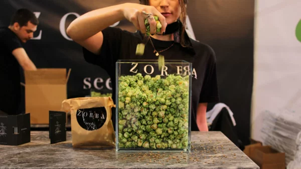 Όλα όσα είδαμε στην 1η Διεθνή Έκθεση Κάνναβης στην Ελλάδα