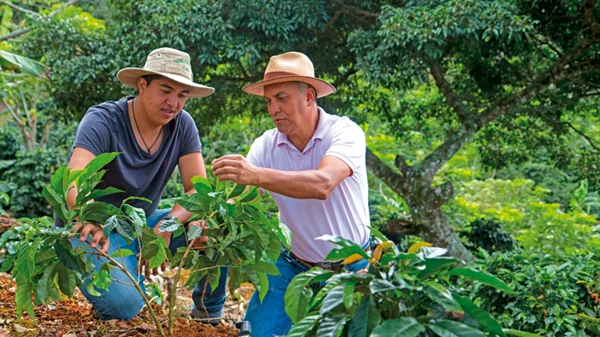 Στα terroirs του εξαιρετικού καφέ