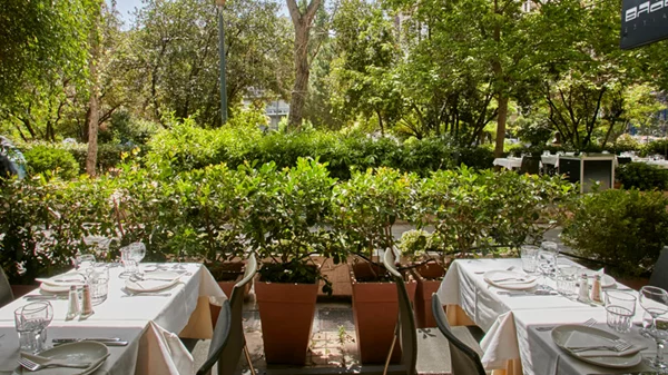 Στον «Βλάσση» τιμούν την αστική ελληνική κουζίνα με φόντο πράσινο