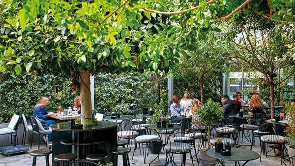 Ιταλικά κρασιά και aperitivi, φερ φορζέ και φυλλωσιές