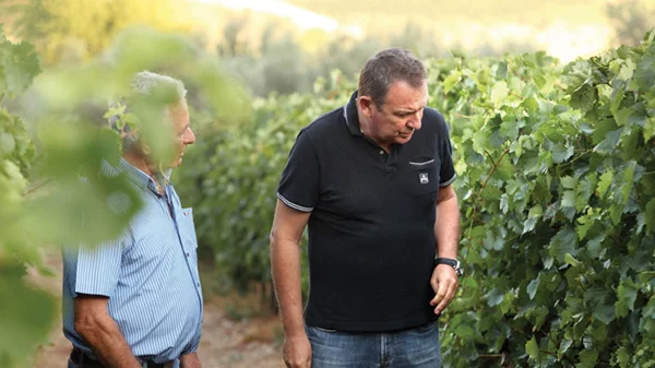 Ένα καινοτόμο Peplo στο ποτήρι