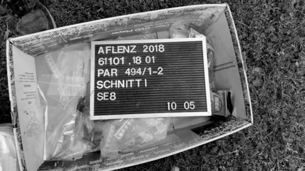 Ένα καλλιτεχνικό φεστιβάλ αναμοχλεύει το ναζιστικό παρελθόν και τους μικρούς μας φασισμούς 