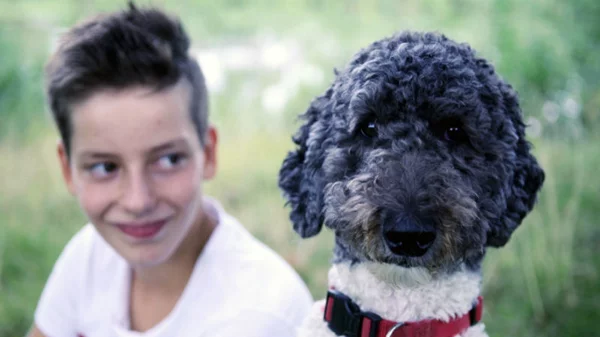 Το 21ο Φεστιβάλ Ντοκιμαντέρ Θεσσαλονίκης ετοιμάζει αφιέρωμα με επίκεντρο τα ζώα