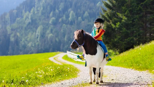 Τα πιο ιδιαίτερα attractions για ταξίδια με παιδιά στην Ελλάδα