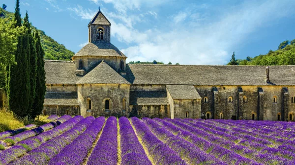 8 φωτογραφίες που σε κάνουν να ονειρεύεσαι άνοιξη στην Προβηγκία