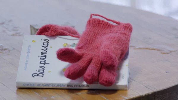 Στο CineDoc μια απίστευτη ιστορία για τον «Μικρό Πρίγκιπα»