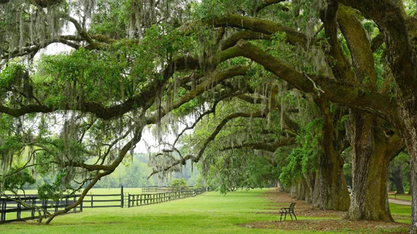10 τόποι που πρωταγωνιστούν στις αγαπημένες σου σειρές για να ταξιδέψεις και λίγο εκτός Netflix