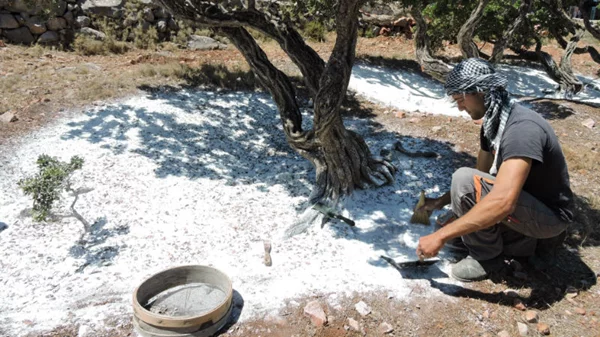 Σαφάρι ορχιδέας ή μάζεμα χόρτων; 5 εμπειρίες φύσης και γεύσης - αφορμή για ταξίδι 