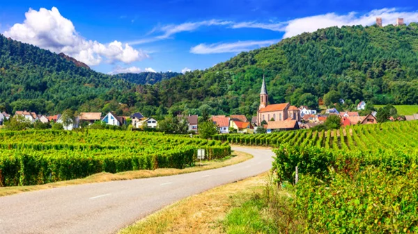 Ταξιδεύουμε στους δρόμους του κρασιού της Αλσατίας