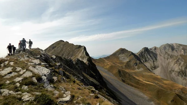 Καλοκαίρι στο βουνό; Ανακαλύψτε τα χωριά της Αργιθέας, τις άγνωστες «Άλπεις» της Ελλάδας