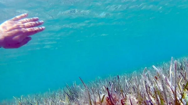 Τι συμβαίνει με την παλίρροια σύγχρονης τέχνης στην Αθήνα;