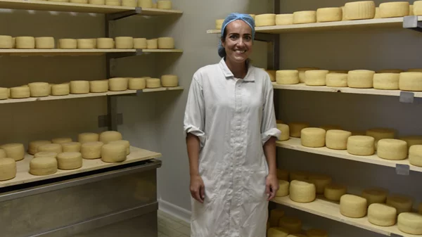 6 εμπειρίες που αποδεικνύουν ότι η Πάρος μπορεί να δείξει ένα νέο ποιοτικό ταξιδιωτικό πρόσωπο