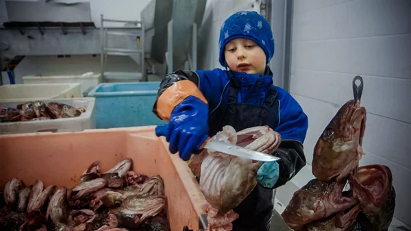 Ντοκιμαντέρ για ένα ασυνήθιστο παιδικό επάγγελμα στο CineDoc Kids