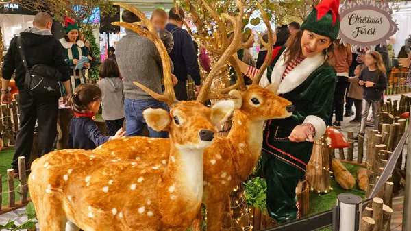 To «Δάσος των Χριστουγέννων» ζωντανεύει στο RIVER WEST