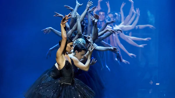 Ο Κωνσταντίνος Ρήγος επιστρέφει στη Λυρική με τη δική του «Λίμνη των Κύκνων»