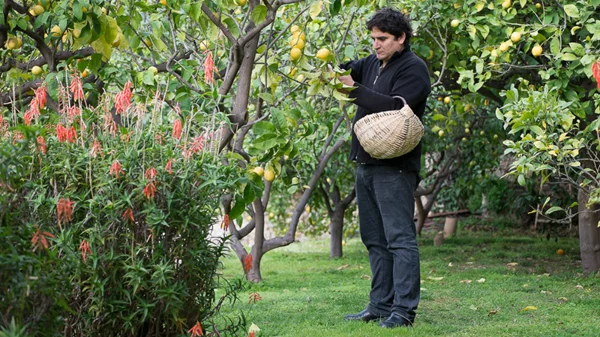 Mauro Colagreco: «Η γη με τραβάει σαν μαγνήτης, με έμαθε να βλέπω αλλιώς τη ζωή»