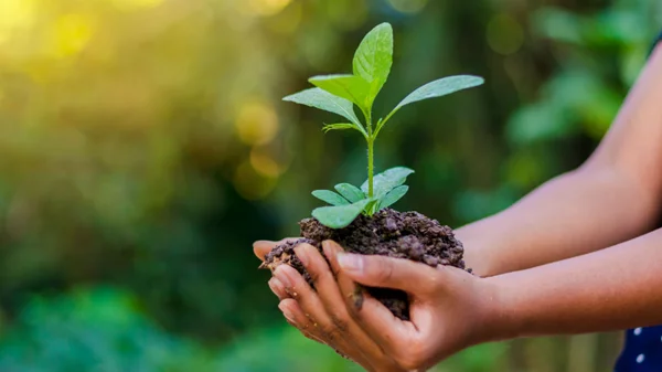 Παγκόσμια Ημέρα της Γης: Το αφιέρωμα του National Geographic
