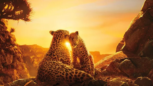 Βραβευμένα ντοκιμαντέρ του Netflix δωρεάν στο YouTube