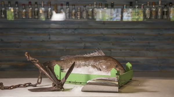 «Ταξιδεύοντας… στα βόρεια»: Ψαροφαγικό ρεσιτάλ στη δροσερή αυλή της Ερυθραίας