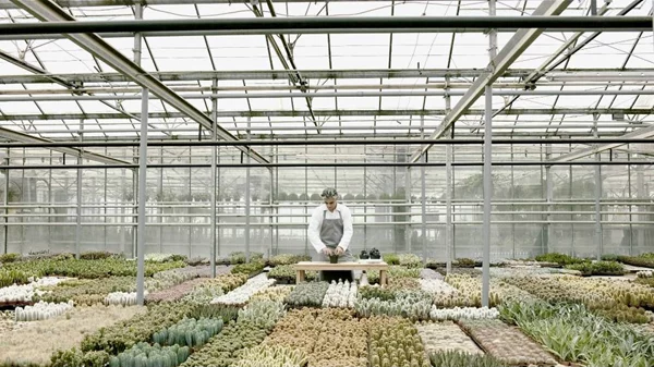 Ο αινιγματικός κόσμος του Γιώργου Δρίβα στον κήπο του Μεγάρου